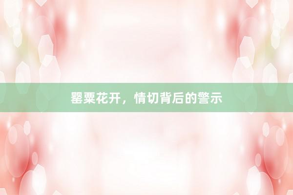 罂粟花开，情切背后的警示