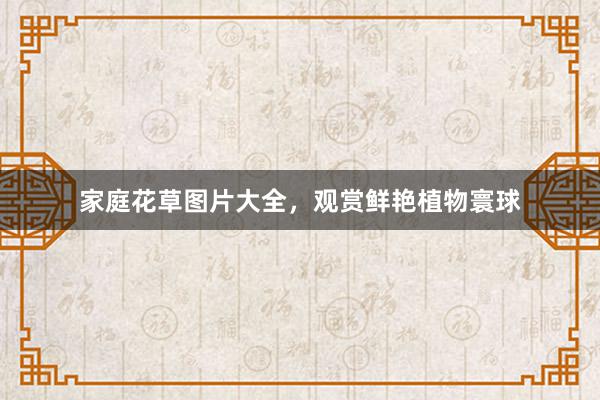 家庭花草图片大全，观赏鲜艳植物寰球